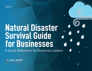 Natural Disaster Survival Guide for Businesses eBook cover